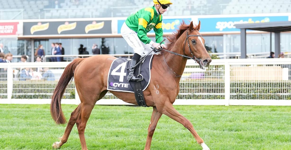 Regal Zeus - Caulfield 21st September 2024